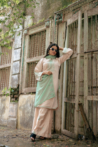 Mint Green Embroidered Suit Set