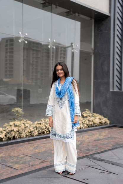 Blue & White Embroidered Suit Set